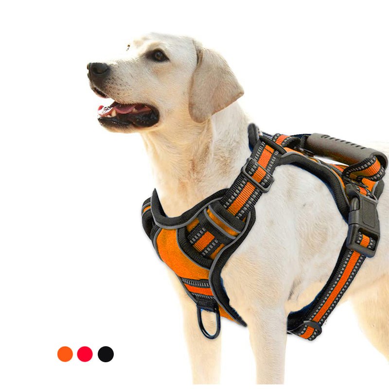 ComfortFit™ No - Pull Dog Harness - ElitePetGear